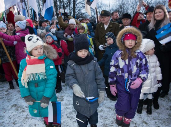 Eesti Vabariigi 99. aastapäeva tähistamine